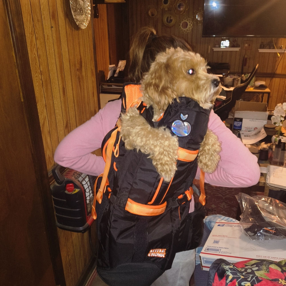 PetAmi Deluxe Pet Carrier Backpack - Black and Orange